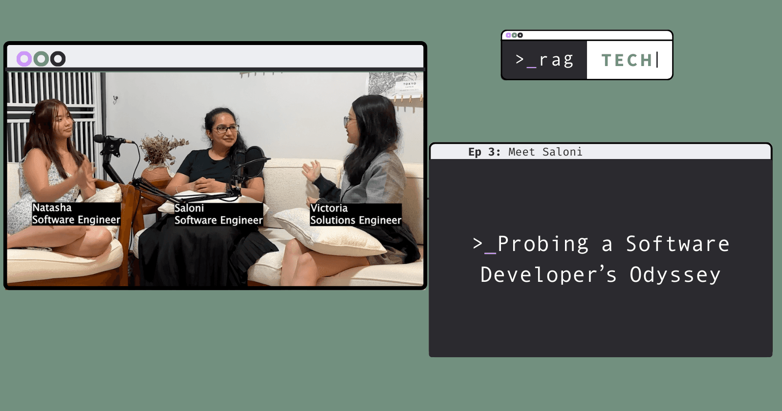 Probing a Software Developer's Odyssey